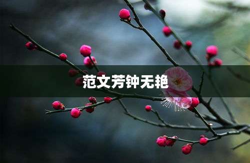 范文芳钟无艳