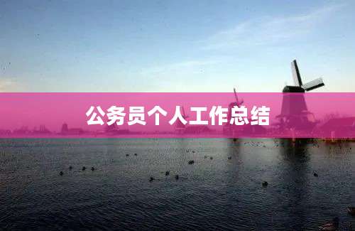 公务员个人工作总结