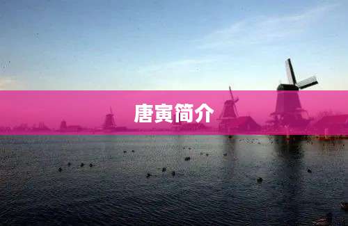唐寅简介