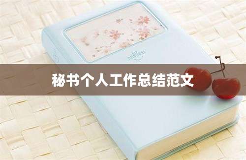 秘书个人工作总结范文