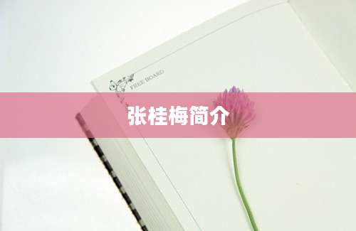 张桂梅简介