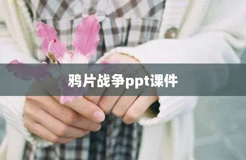 鸦片战争ppt课件