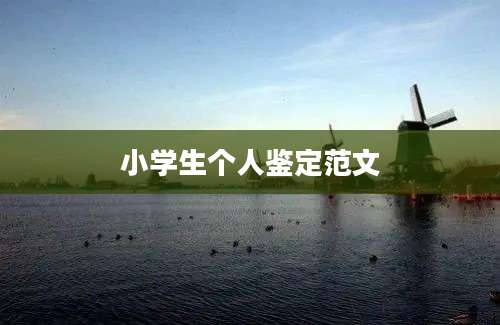 小学生个人鉴定范文