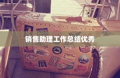 销售助理工作总结优秀
