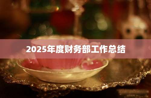 2025年度财务部工作总结