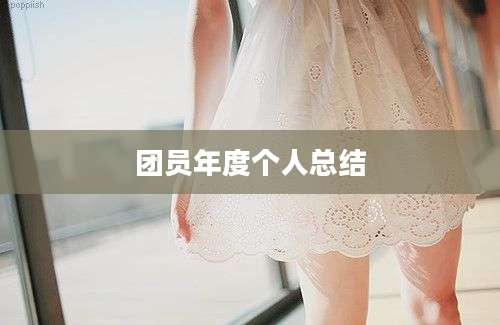 团员年度个人总结