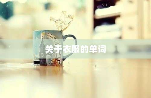 关于衣服的单词