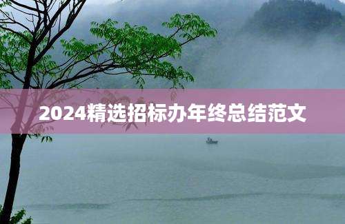2024精选招标办年终总结范文