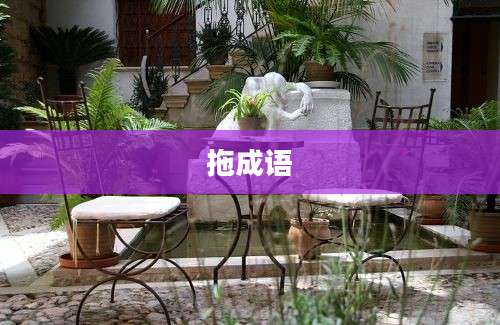 拖成语