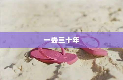 一去三十年
