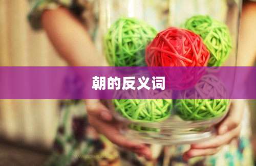 朝的反义词