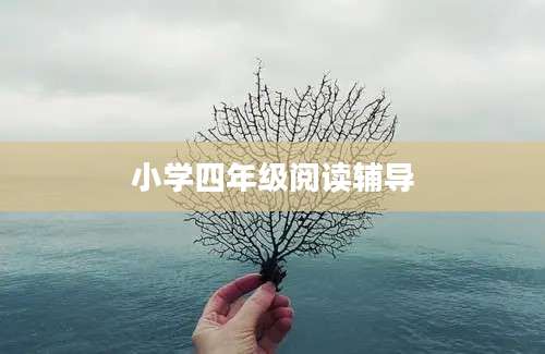 小学四年级阅读辅导
