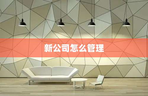 新公司怎么管理
