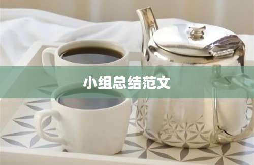 小组总结范文