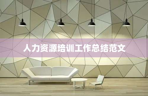 人力资源培训工作总结范文