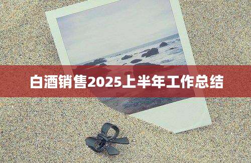 白酒销售2025上半年工作总结