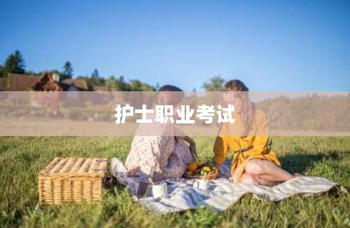 护士职业考试
