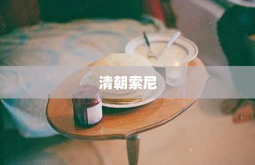 清朝索尼