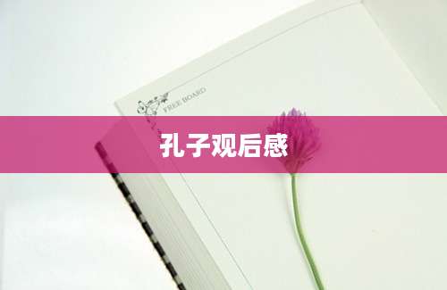 孔子观后感
