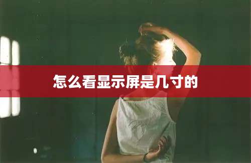 怎么看显示屏是几寸的