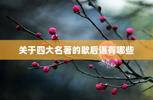 关于四大名著的歇后语有哪些
