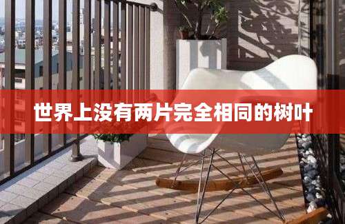 世界上没有两片完全相同的树叶