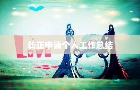 转正申请个人工作总结