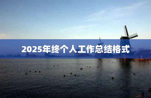 2025年终个人工作总结格式