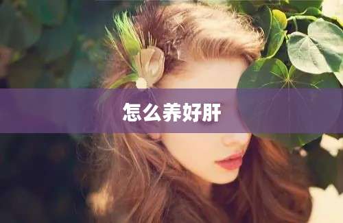怎么养好肝