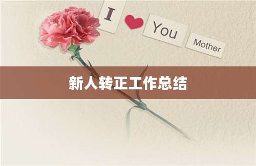 新人转正工作总结