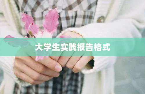 大学生实践报告格式