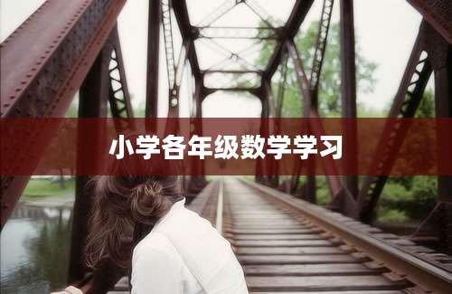 小学各年级数学学习