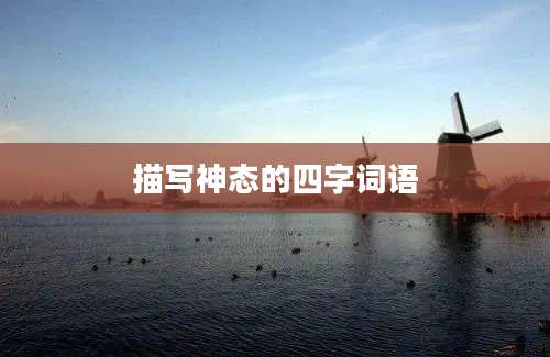 描写神态的四字词语