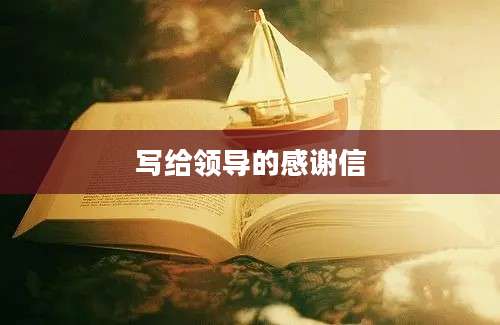写给领导的感谢信