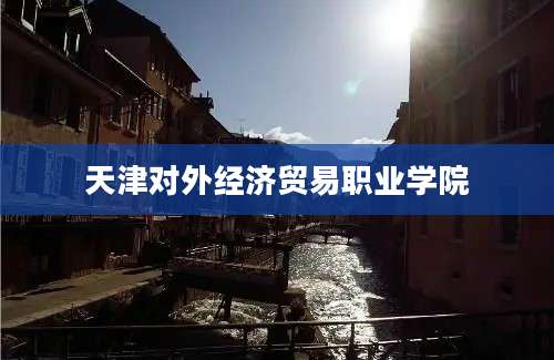 天津对外经济贸易职业学院