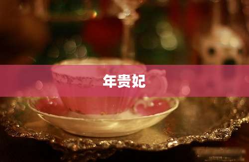年贵妃