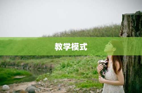 教学模式