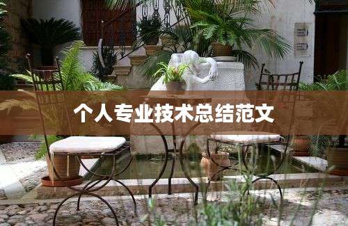 个人专业技术总结范文