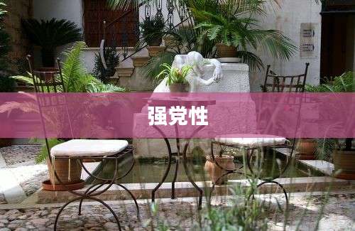 强党性