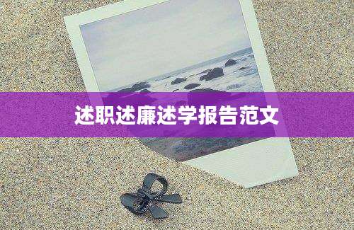 述职述廉述学报告范文