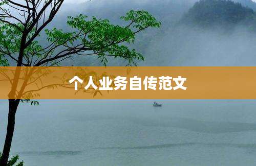 个人业务自传范文