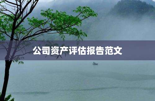 公司资产评估报告范文