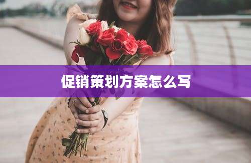 促销策划方案怎么写