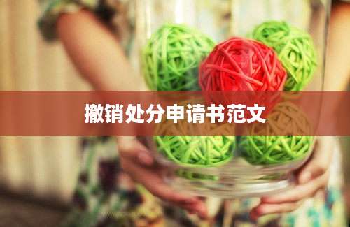 撤销处分申请书范文