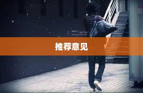 推荐意见