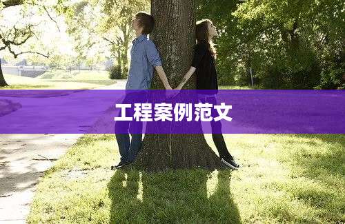 工程案例范文