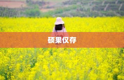 硕果仅存