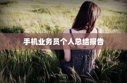 手机业务员个人总结报告