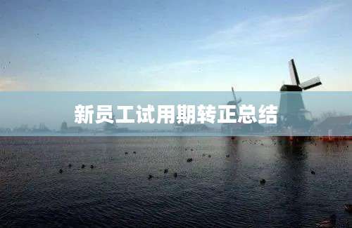 新员工试用期转正总结