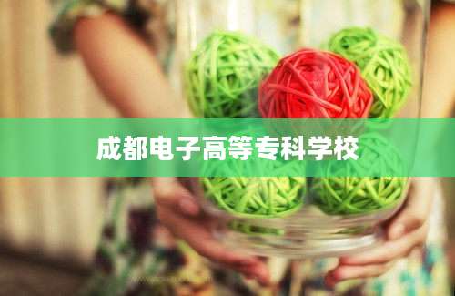 成都电子高等专科学校